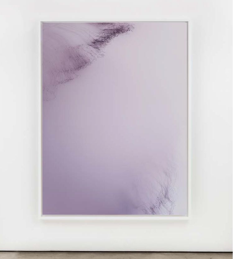 Wolfgang Tillmans Biography, Artworks & Exhibitions | Ocula Artist