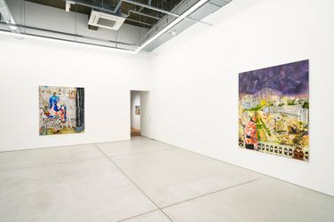 Installation view from The Far Sound of Cities by Marius Bercea.