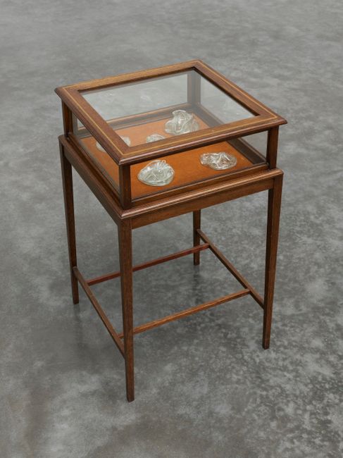 Untitled (display case) by Mona Hatoum contemporary artwork