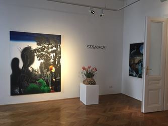 Exhibition view: Group Exhibition, STRANGE BEAUTY, Beck & Eggeling International Fine Art, Vienna (13 December 2017–17 February 2018). Courtesy Beck Eggeling International Fine Art. 