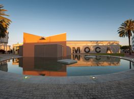 Museum of Contemporary Art North Miami | MOCA