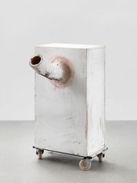 Allzweckkasten (Multi-purpose box) by Franz West contemporary artwork sculpture