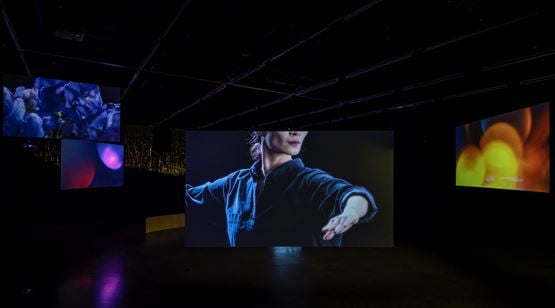 12 Dec 2020–7 Feb 2021 Curated by Hyunjin Kim contemporary art exhibition