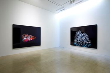 Exhibition view of Jung Lee, Day and Night, 2016 at ONE AND J. Gallery, Seoul. Courtesy ONE AND J. Gallery.