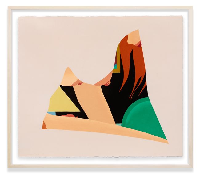 Bedroom Dropout by Tom Wesselmann contemporary artwork