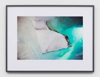 Time and the Tampon (Frost) I by Josephine Pryde contemporary artwork photography, print