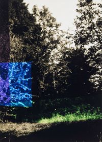 Garten mit Blau und Lila by Frank Mädler contemporary artwork photography