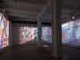 Contemporary art exhibition, Carolee Schneemann, Further Evidence - Exhibit B at Galerie Lelong & Co. New York, United States
