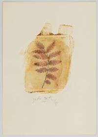 Botanical Specimen by Paolo Gioli contemporary artwork works on paper, photography