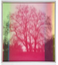 Portrait of a Tree in Blues by Paul Rusconi contemporary artwork painting