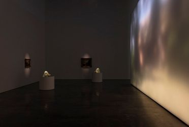 Exhibition view: Rachel Rose, Enclosure, Gladstone Gallery, West 21st Street, New York (14 January–26 February 2022). Courtesy Gladstone Gallery.