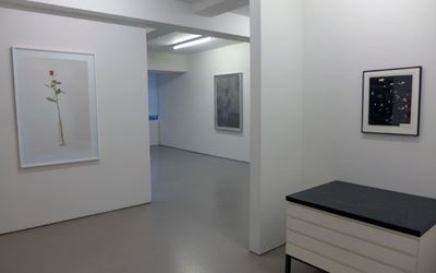 Exhibition view: Photographs and photograms, Hamish McKay Gallery (16 June–7 July 2018). Courtesy Hamish McKay Gallery.