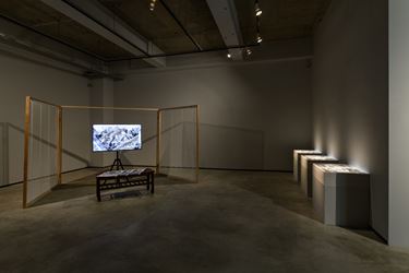 Exhibition view: Group Exhibition, Into the Crevices of Imagination 在裂隙中想像, TKG+ Projects, Taipei (28 September–17 November 2019). Courtesy TKG+ Projects.