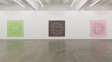Contemporary art exhibition, Kerrie Poliness, Non-Objective Wildflowers at Anna Schwartz Gallery, Melbourne, Australia