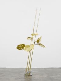 In Martinique the root of Monstera Deliciosa is used tomake a remedy for snakebite by Elaine Cameron-Weir contemporary artwork sculpture