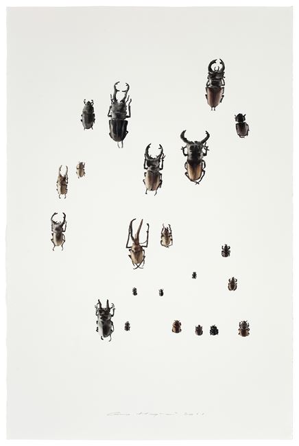 Insect No. 3 虫3 by Guo Hongwei contemporary artwork