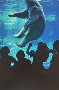 Polar Bear in Central Park Zoo, New York by Thomas Hoepker contemporary artwork photography