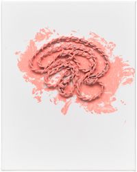 Chain Brain (pink) by Frances Stark contemporary artwork mixed media