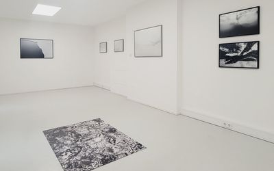 Contemporary art exhibition, Giulio Rimondi, ARTICA at Galerie Tanit, Munich, Germany