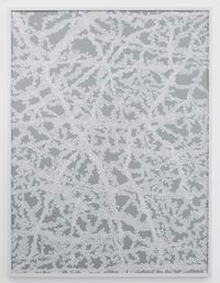 White Noise by Bharti Kher contemporary artwork mixed media