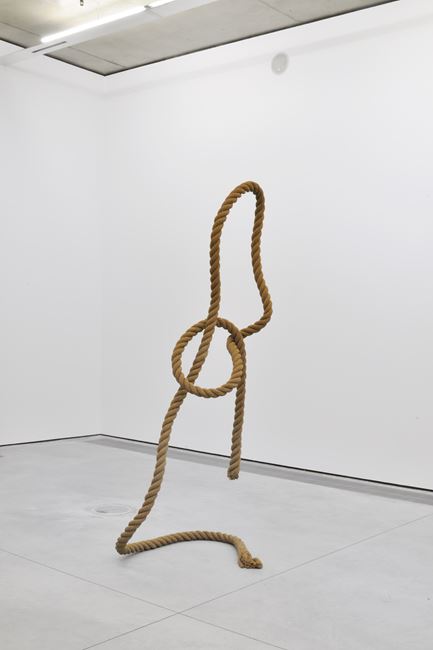 Rope by Tony Matelli contemporary artwork