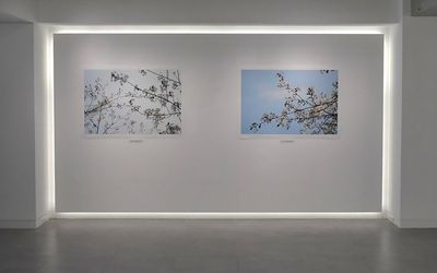 Exhibition view: Tomohiro Muda, Icons of Time 2021, √K Contemporary, Tokyo (11–26 March 2021). Courtesy √K Contemporary. 