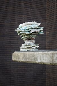 Untitled (High #6) by Alberto Scodro contemporary artwork sculpture