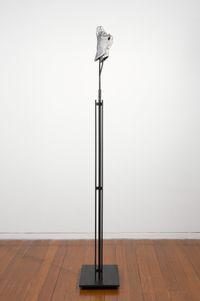 Instrument: Hooting by Julie Rrap contemporary artwork sculpture