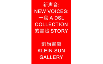 NEW VOICES: A DSLCOLLECTION STORY