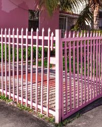 Pink Fence, Miami by Anastasia Samoylova contemporary artwork print