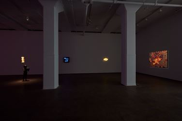 Exhibition view: Laurent Grasso, OttO, Sean Kelly, New York (25 October–7 December 2019). Courtesy Sean Kelly, New York. Photo: Jason Wyche, New York.