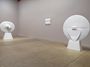 Contemporary art exhibition, Zilia Sánchez, Eros at Galerie Lelong & Co. New York, USA