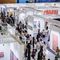 Six Directors Share Artwork Highlights at Frieze and Kiaf Seoul 2024
