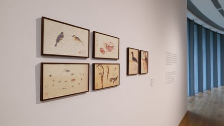 Exhibition view: Flower and Bird Paintings of Lingnan Art from HEM Collection, Scenes of the Times, He Art Museum, Guangdong (21 October 2021–16 January 2022). Courtesy He Art Museum. © HEM.