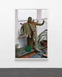 My 25 Year Old Cactus by Wolfgang Tillmans contemporary artwork photography