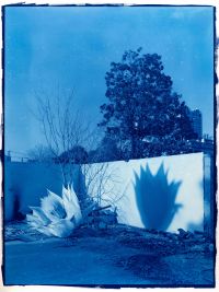 Blueprint No.12 by Hu Weiyi contemporary artwork photography, print