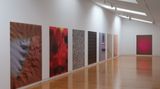 Contemporary art exhibition, Judy Darragh, Memory Foam at Two Rooms, Auckland, New Zealand