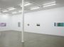 Contemporary art exhibition, Whitney Bedford, Petra Cortright, Kirsten Everberg, Judy Ledgerwood, Slippery Painting at Starkwhite, Auckland, New Zealand