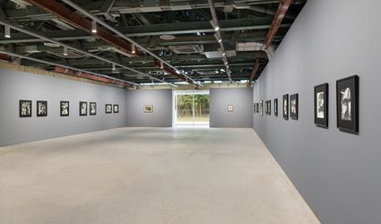Exhibition view: Wook-kyung Choi, A Stranger to Strangers, Kukje Gallery, Busan (25 August–22 October 2023). Courtesy Kukje Gallery.