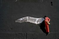 Birdman by Robin Rhode contemporary artwork photography