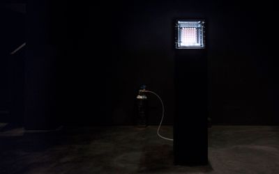 Exhibition view: Sean Raspet, New Molecules & Stem Cell Retinoid Screen, Empty Gallery, Hong Kong (22 June–September 7 2019). Courtesy Empty Gallery. Photo: Michael Yu.