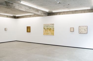 Exhibition view: Ruby Wilkinson, Sun room, Jhana Millers, Wellington (18 August–10 September 2022). Courtesy Jhana Millers.