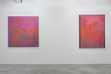 John McAllister, 'Riot Rose Summary' Exhibition view. Image courtesy of the Artist and Almine Rech Gallery © 2015 Sven Laurent