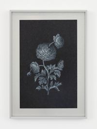 Future Herbarium by Laurent Grasso contemporary artwork painting