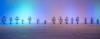 Jungle Landscape 1 by Po-Chun Liu contemporary artwork sculpture