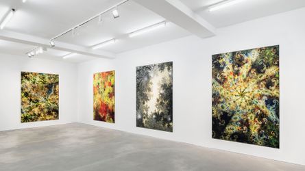 Exhibition view: Thomas Ruff, d.o.pe., Sprüth Magers, Berlin (26 November 2022–25 March 2023). Courtesy Sprüth Magers. 