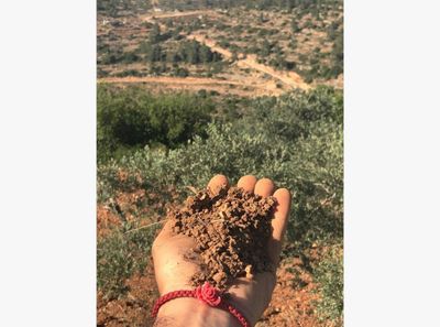 Palestinian Artist Khaled Jarrar Offers Ramallah Soil as NFT