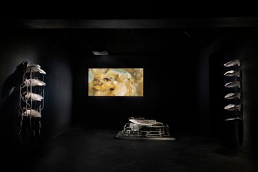 Exhibition view: Jes Fan, Sites of Wounding: Chapter 1, Empty Gallery, Hong Kong (18 March–24 June 2023). Courtesy Empty Gallery. Photo: Michael Yu. 
