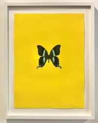 New Beginnings [yellow] by Damien Hirst contemporary artwork print