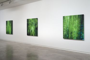 Exhibition view: Elizabeth Thomson, My Titirangi Years, Two Rooms, Auckland (21 October–19 November 2022). Courtesy Two Rooms.